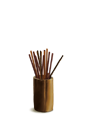    ٶ Ǯ
